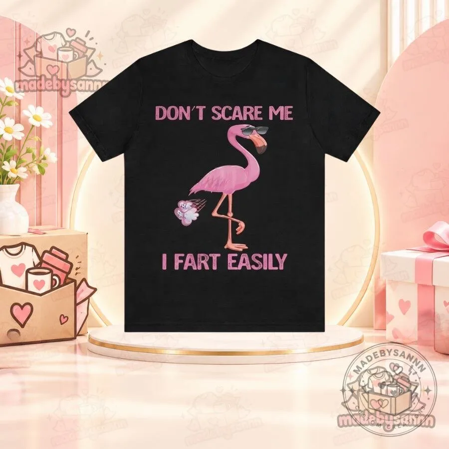 Don't Scare Me I Fart Easily Shirt Funny Cringey Airport T-Shirt