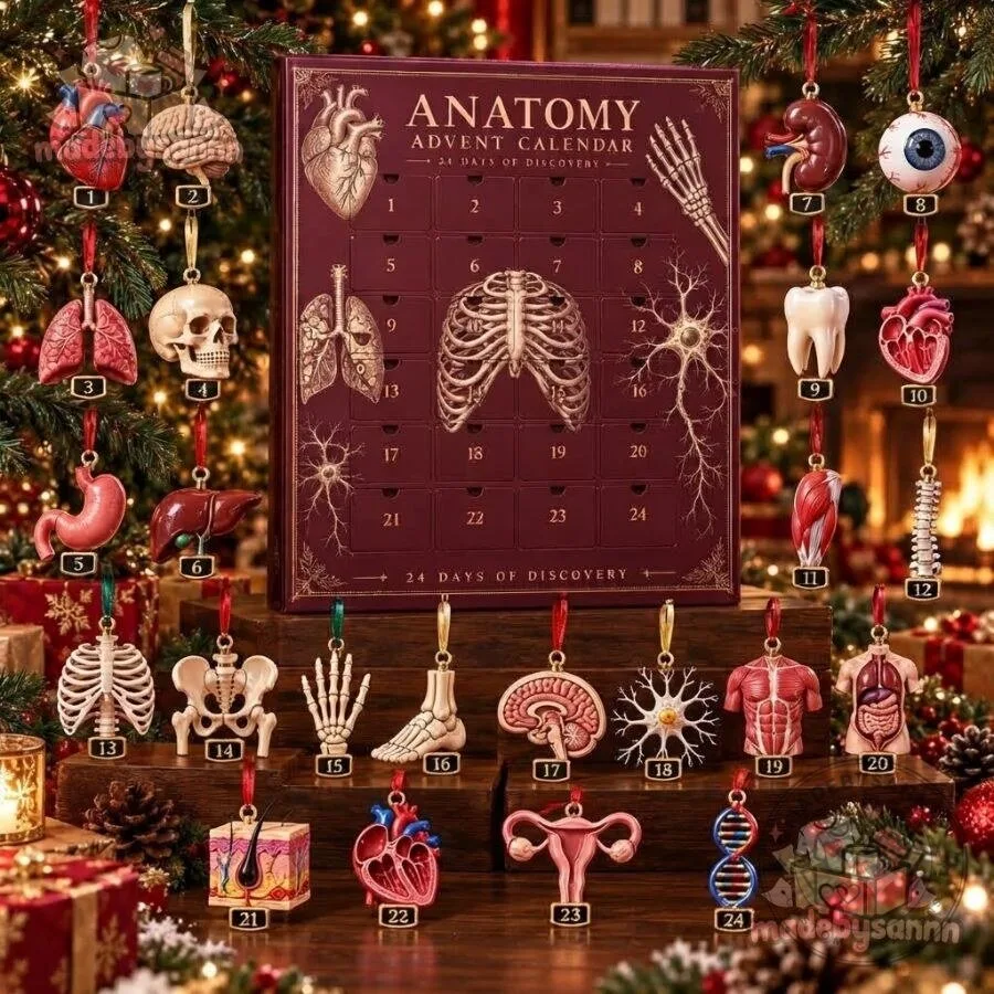 Anatomy Advent Calendar 24 Days of Anatomy Surprises for Med Students